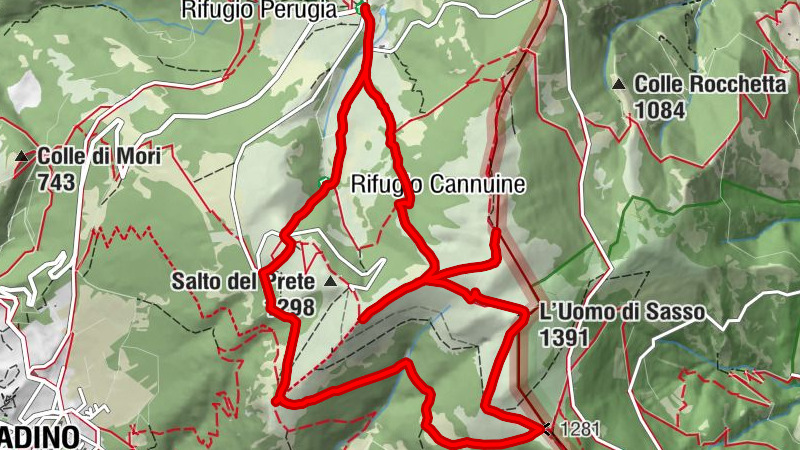 Carte