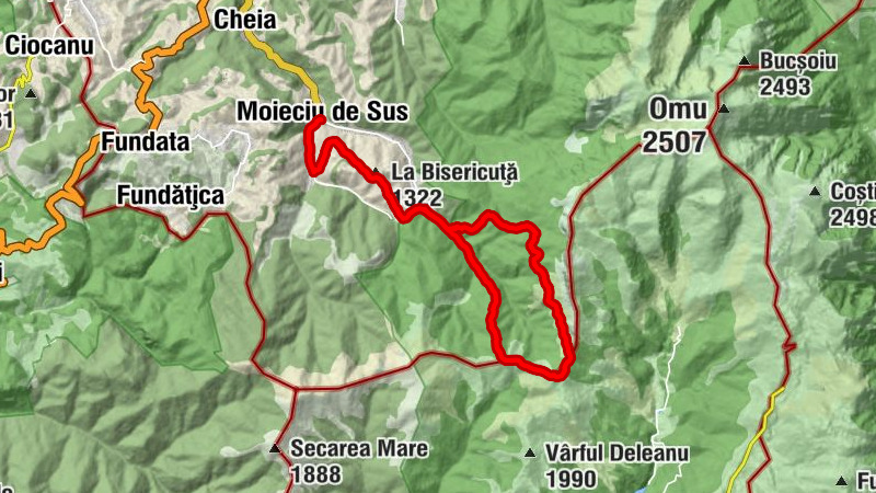 Carte