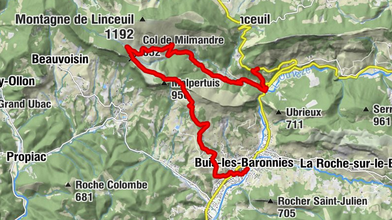 Carte