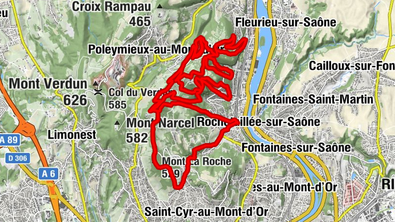 Carte