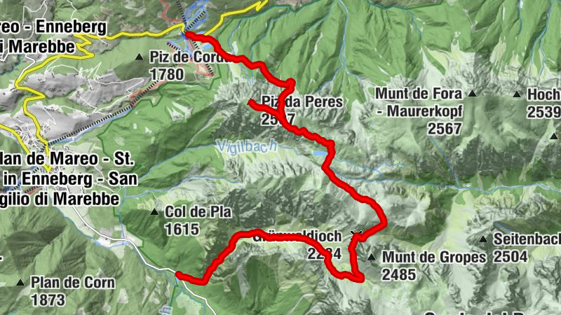Carte