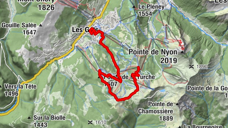 Carte