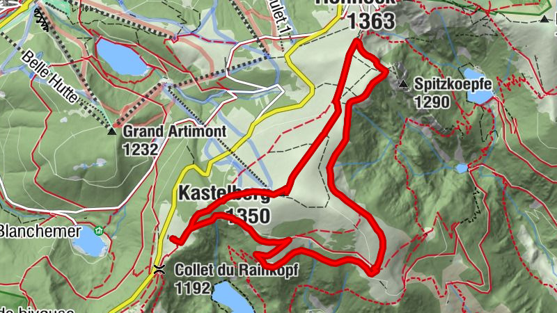 Carte