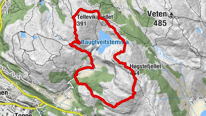 Carte