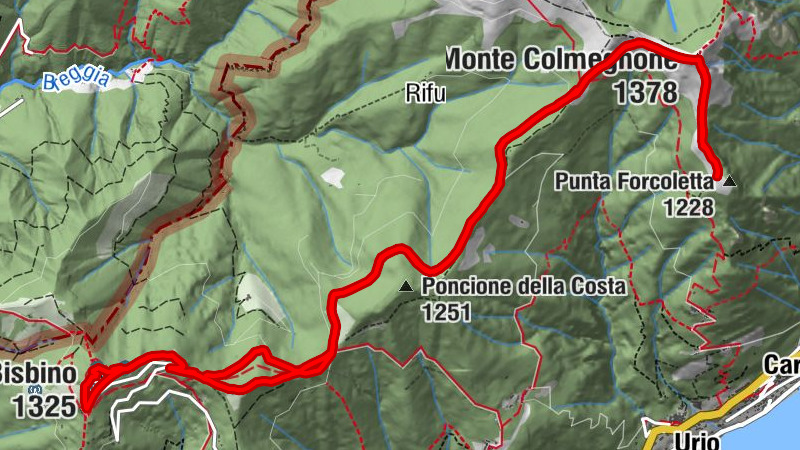 Carte