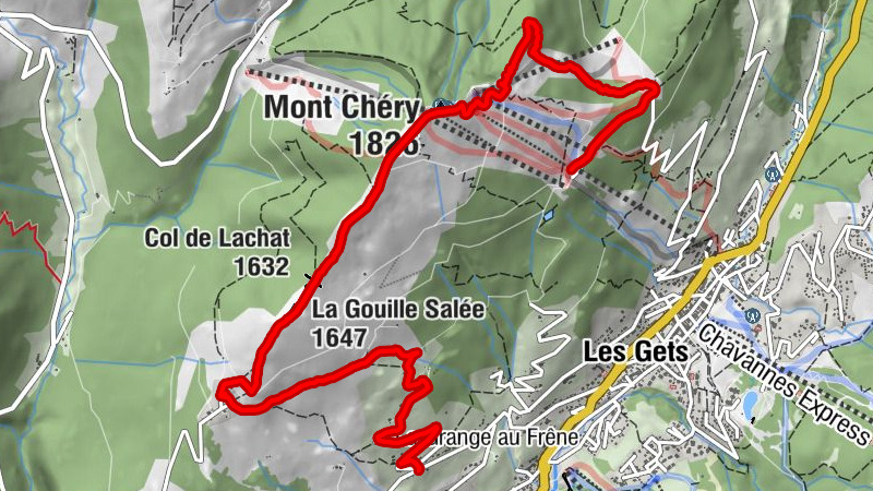 Carte