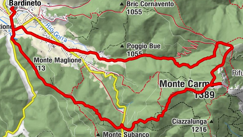 Carte