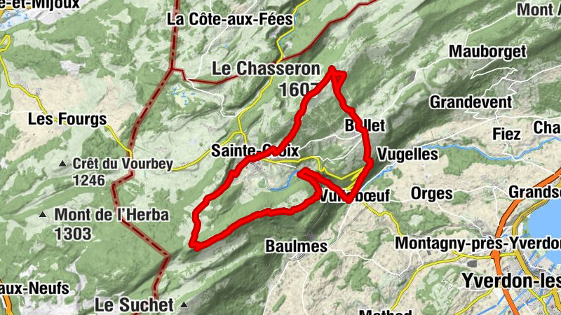 Carte