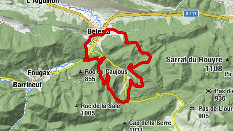 Carte