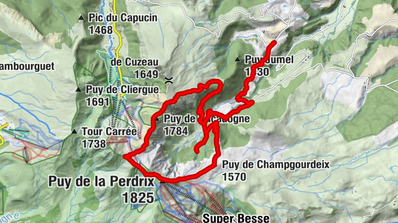 Carte