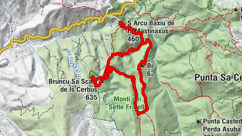 Carte