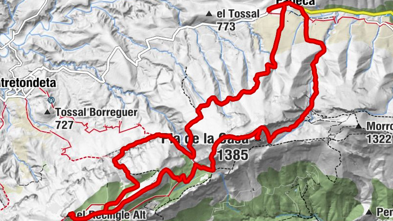 Carte