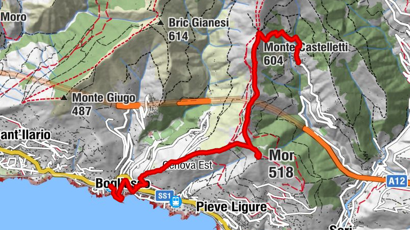 Carte