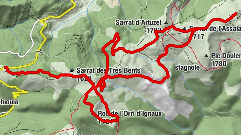 Carte