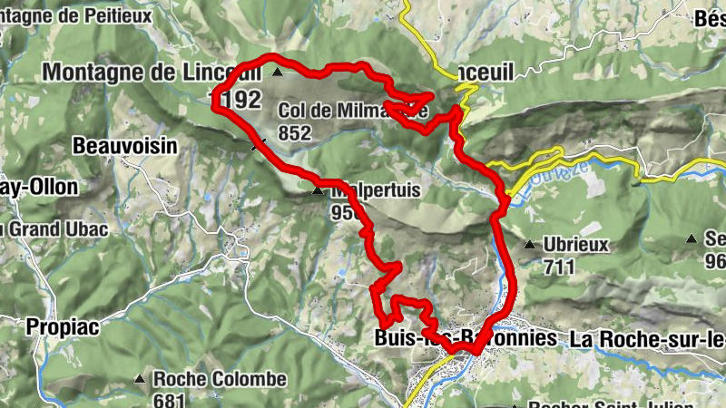 Carte