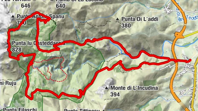 Carte