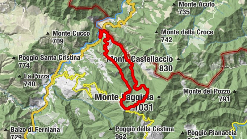 Carte