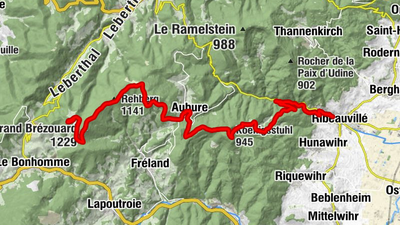 Carte