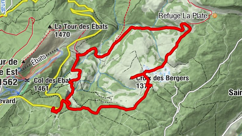 Carte