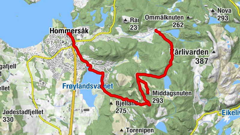 Carte
