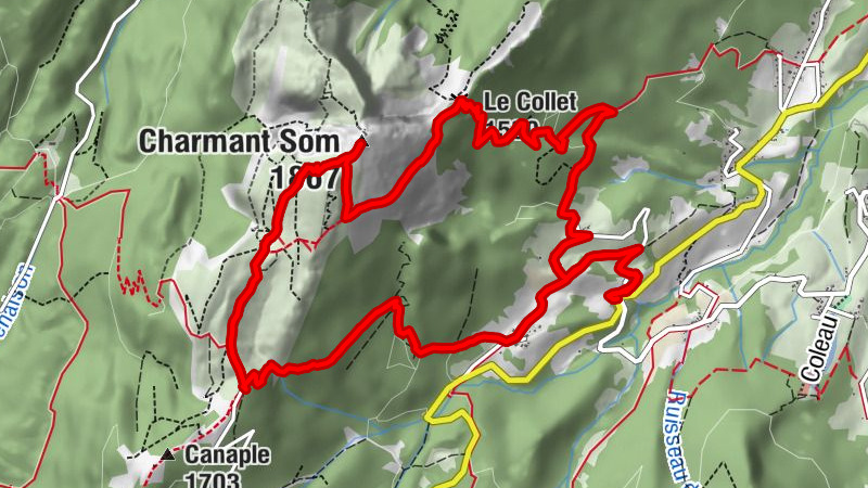 Carte