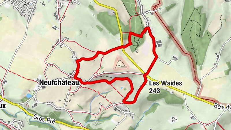 Carte