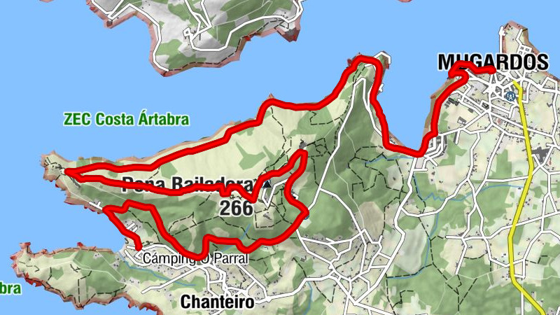 Carte