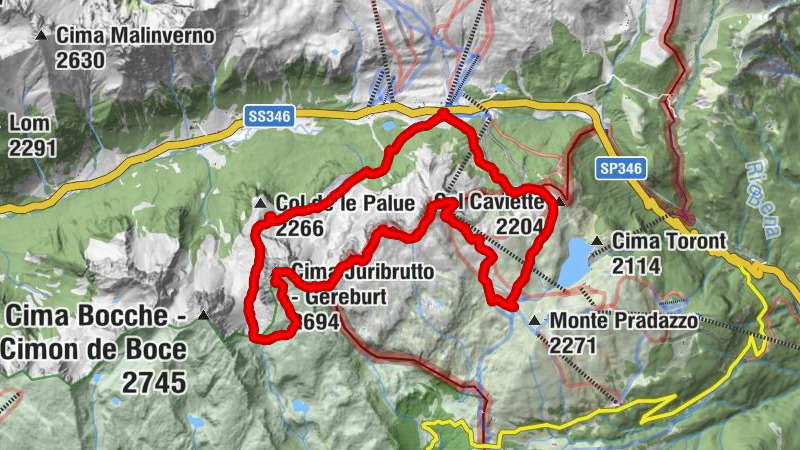 Carte