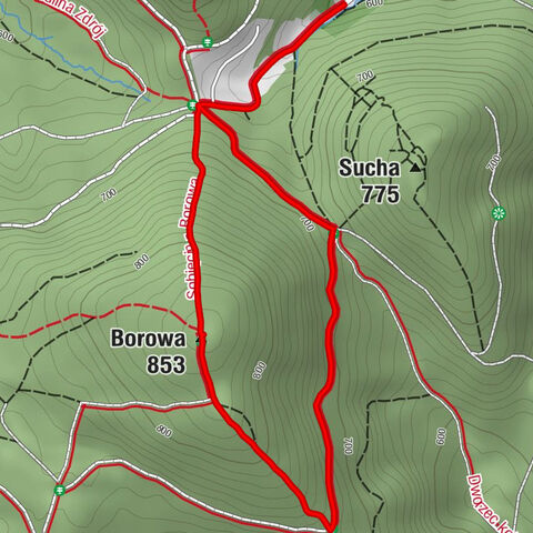 Jedlina-Zdrój - Przełęcz Kozia - Borowa - Przełęcz pod Borową