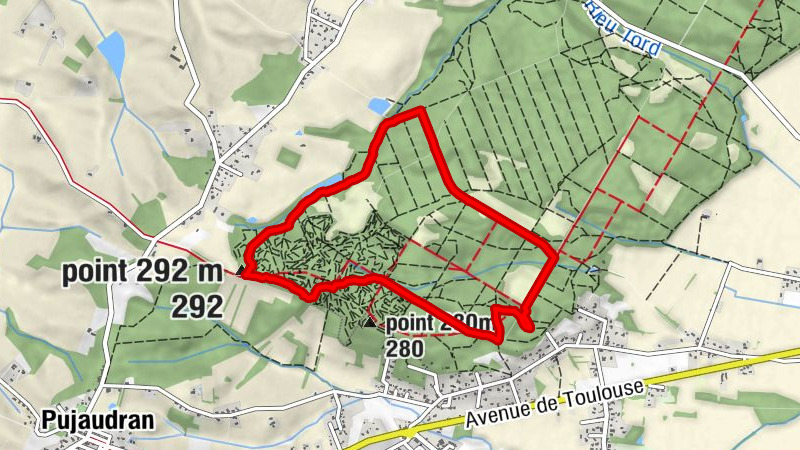 Carte
