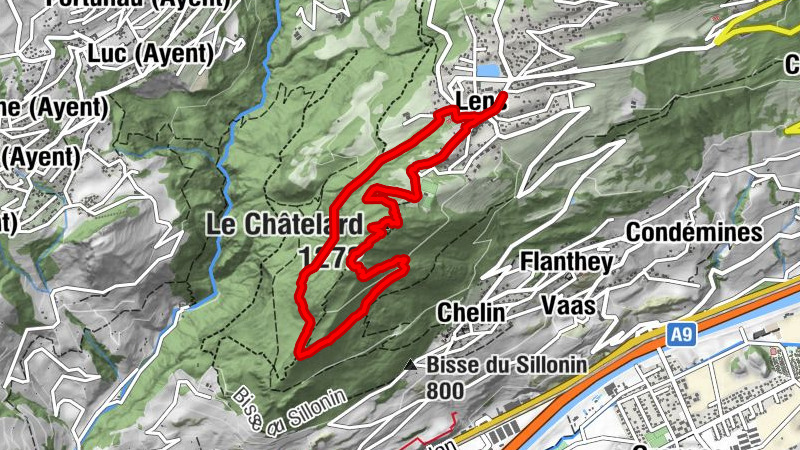 Carte