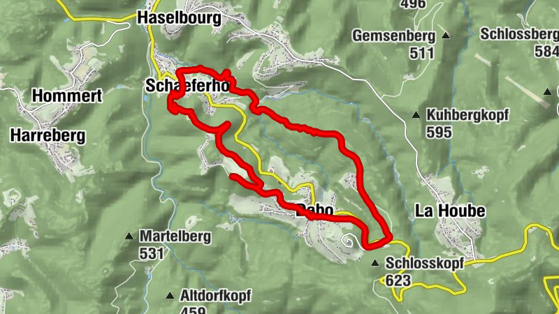 Carte