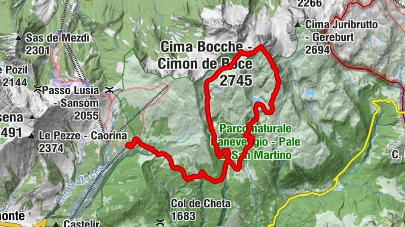 Carte