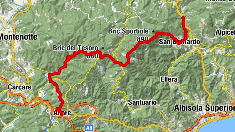 Carte