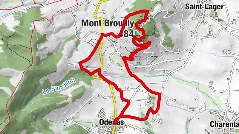 Carte