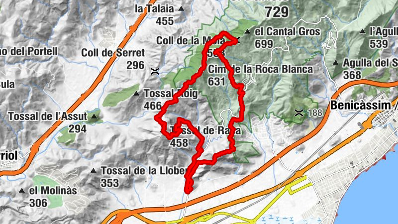 Carte
