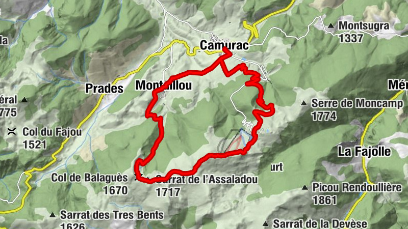 Carte