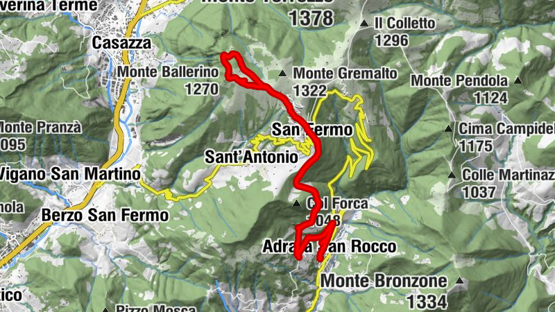 Carte