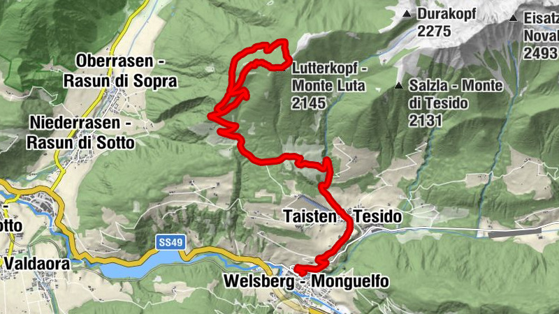 Carte