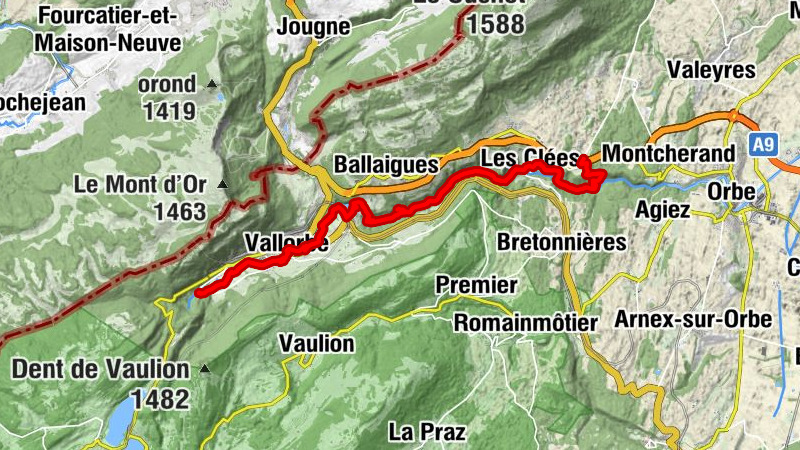 Carte