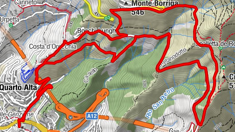 Carte