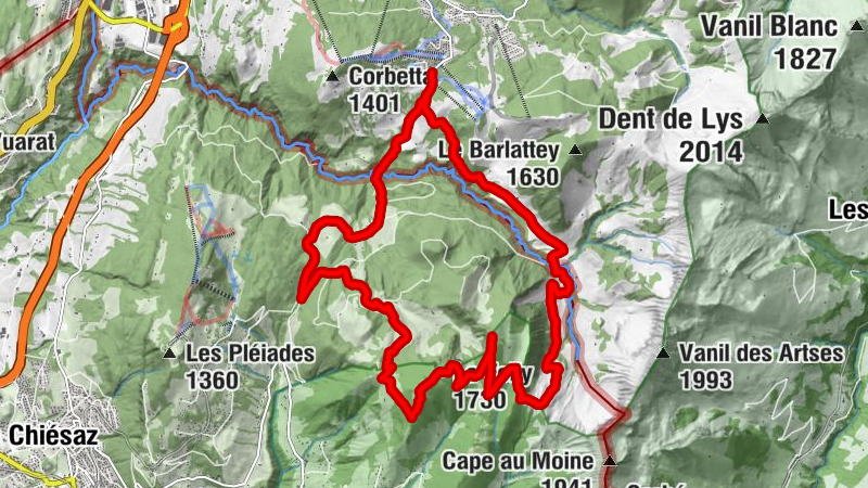 Carte