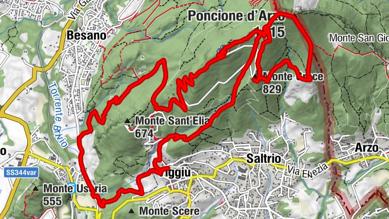 Carte