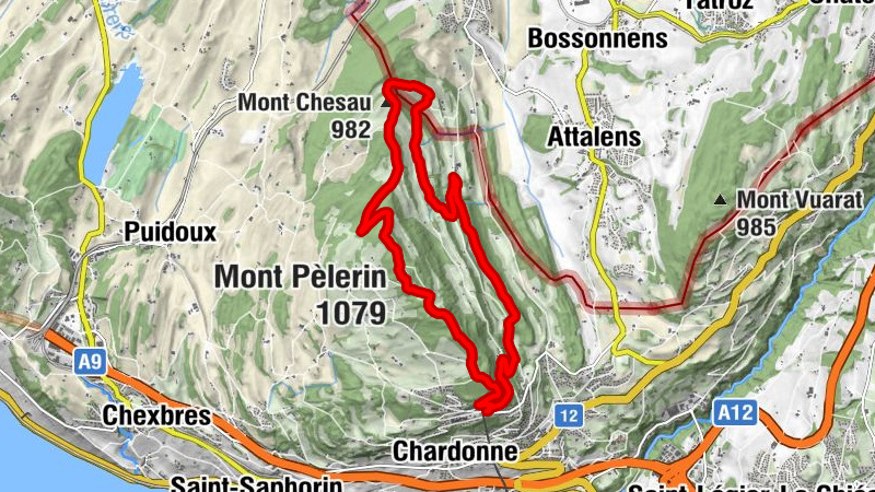 Carte