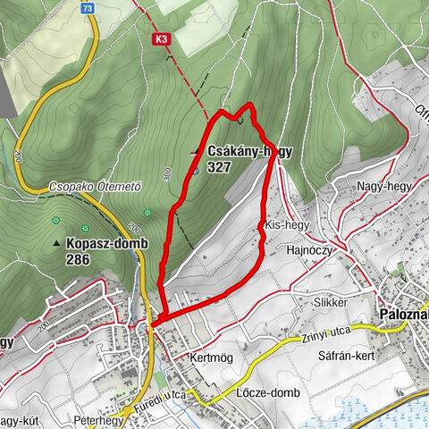 Csopak - Csákány-hegy - Kis-hegy - Paloznak