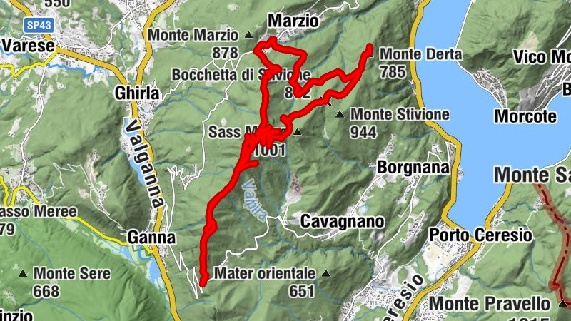 Carte