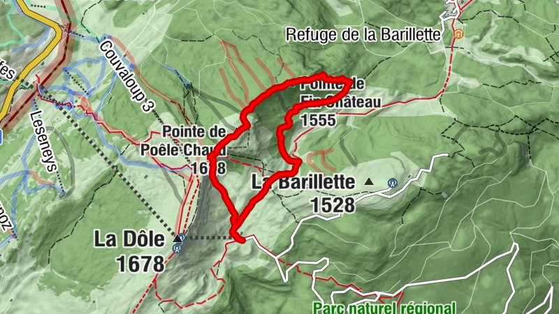 Carte