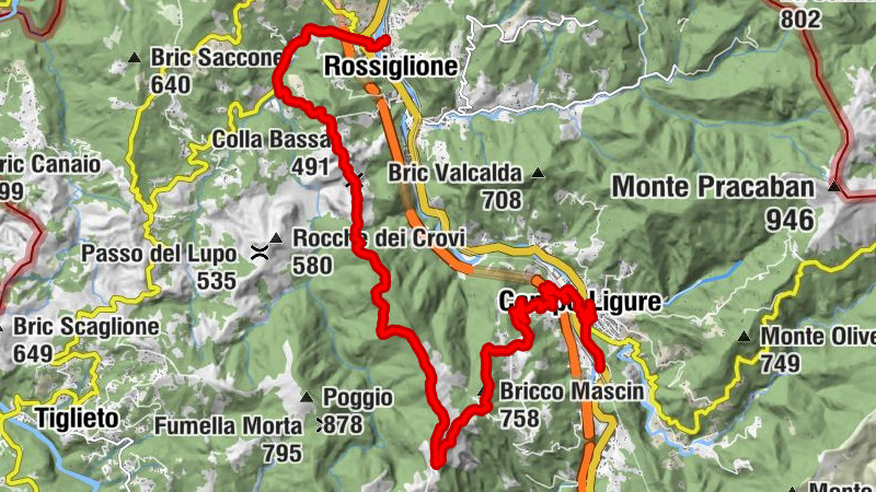 Carte