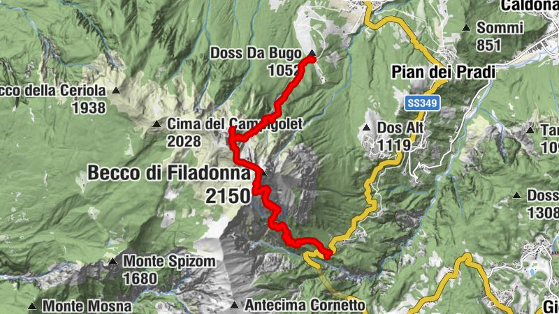 Carte