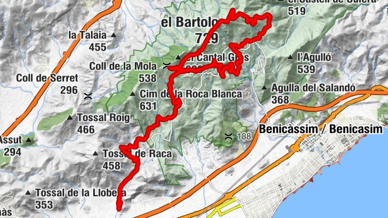 Carte